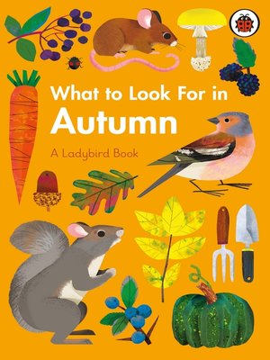 cover image of What to Look For in Autumn